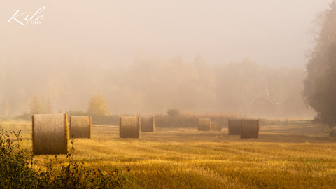 Kile Foto natur landskap stabbur morgenstund